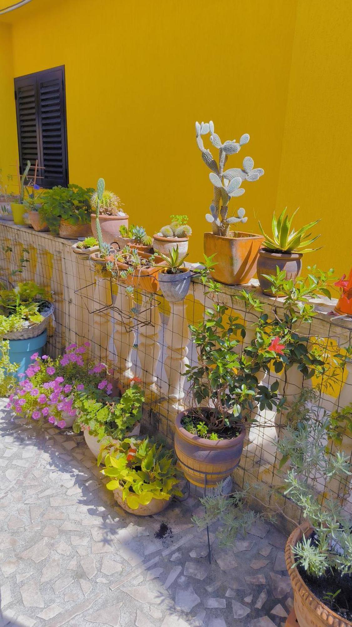 Apartament - Lisa บุดวา ภายนอก รูปภาพ