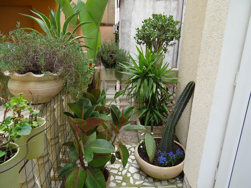 Apartament - Lisa บุดวา ภายนอก รูปภาพ